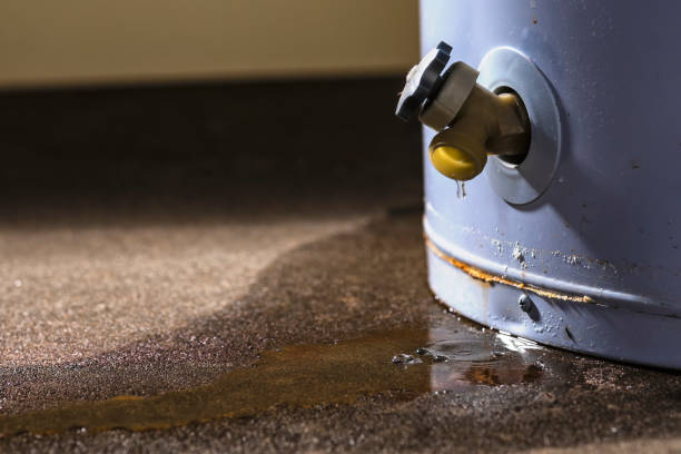 Best Water damage restoration near me  in North Rock Springs, WY