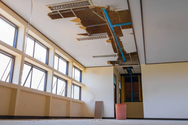 Best Professional water damage repair  in North Rock Springs, WY