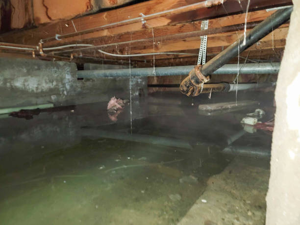 Best Water damage restoration near me  in North Rock Springs, WY