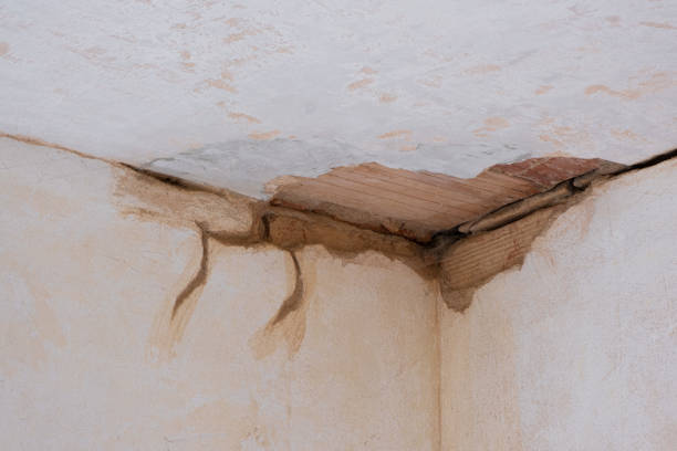 Best Flood damage cleanup  in North Rock Springs, WY