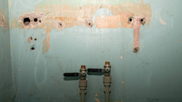 Best Mold removal after water damage  in North Rock Springs, WY