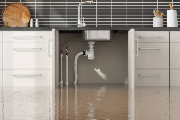 Best Local water damage restoration  in North Rock Springs, WY