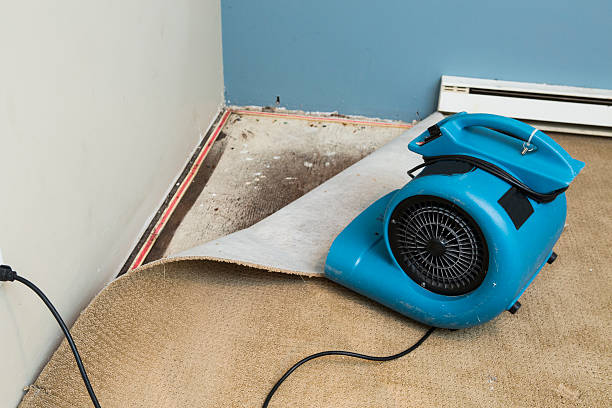 Best Sewage cleanup and water damage restoration  in North Rock Springs, WY